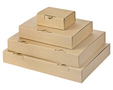 Maxibriefkarton und Warensendung Versandkarton, 235x155x46 für Din A5, braun