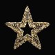 Stern, aus Metall/PET gold, mit LED, warmwei, 38cm
